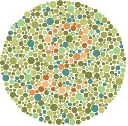 Ishihara Color Blindness Test: The Ishihara Color 