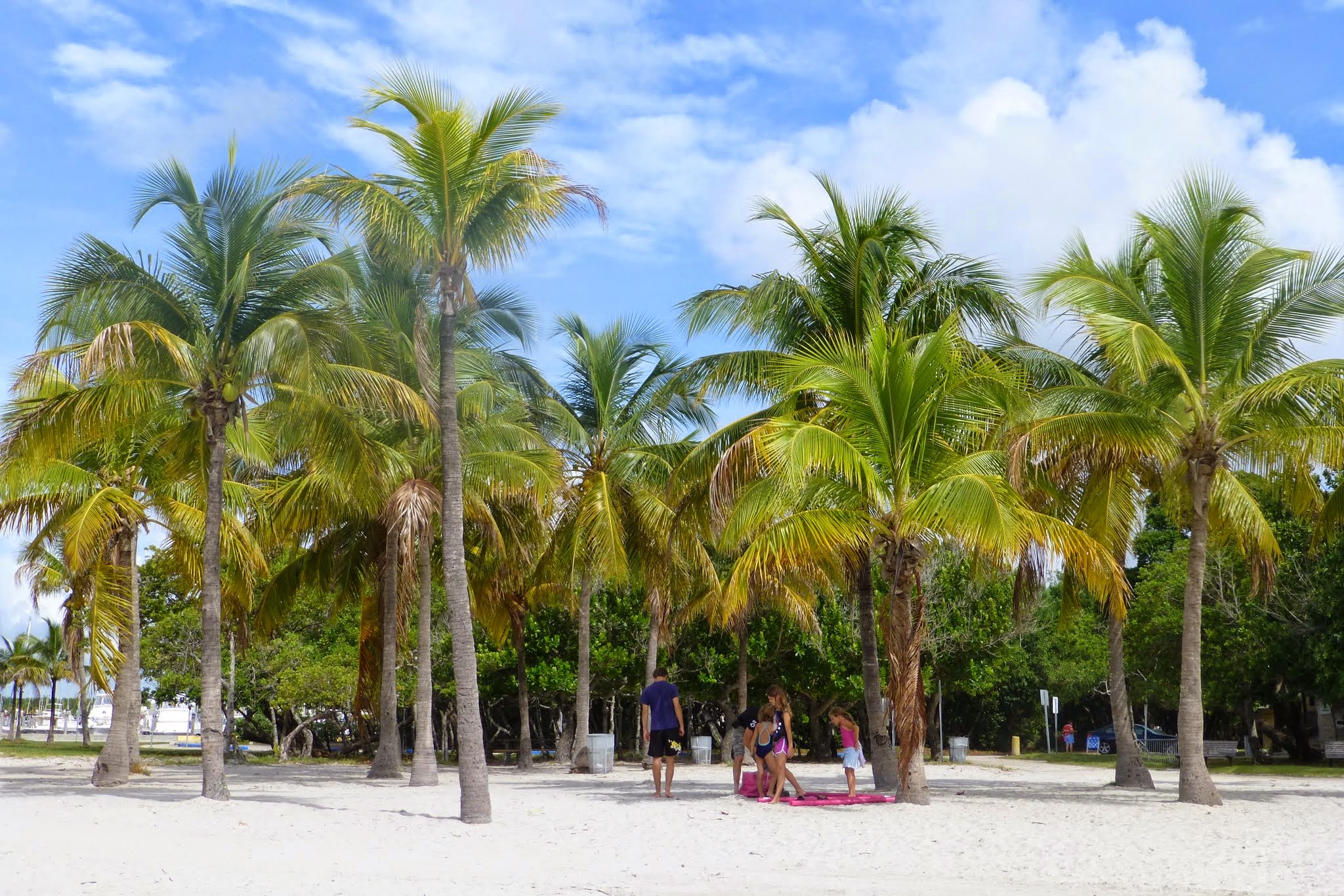 Circuit De Découverte De South Miami Coconut Grove Coral