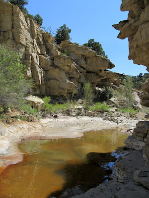 Haley Canyon