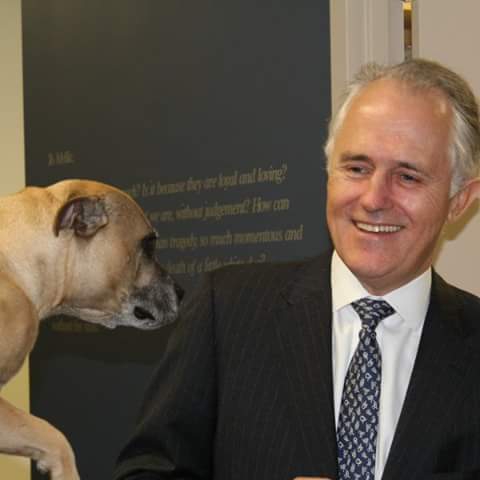 Malcolm Turnbull Awesome Dp Images