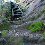 Stairs on Rodriguez Pass (52163)