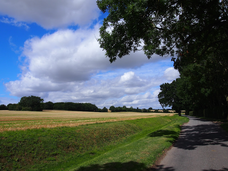 more Suffolk countryside 