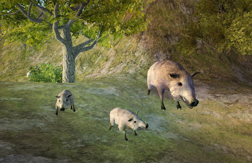 Survive Wild Boar