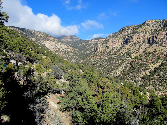 Slaughter Canyon