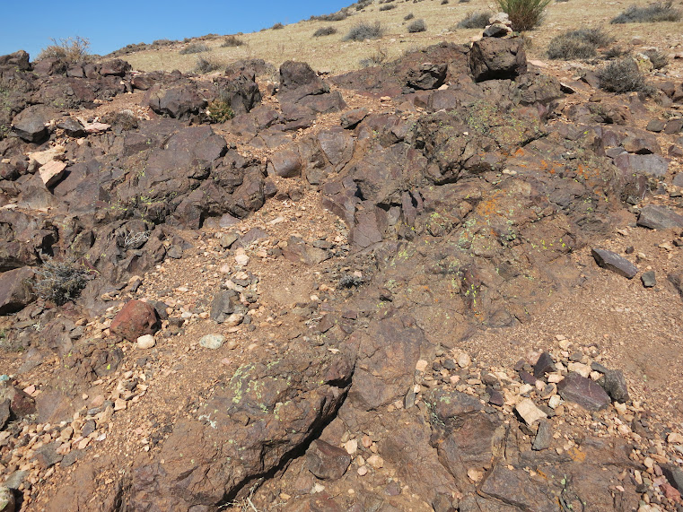 20150329 - CHILE - CERRO CANOITAS. IMG_0048