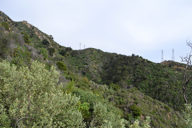 trail along the green