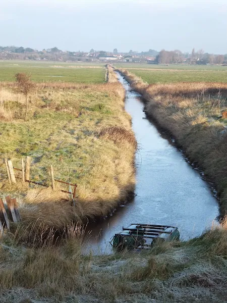 Makeshift raft on a drainage ditch