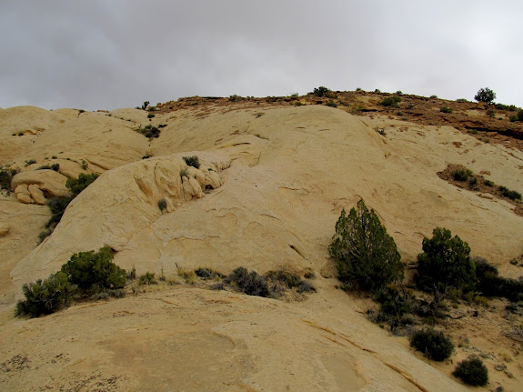 Final climb to my highest point of the hike