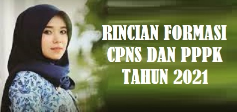  ini akan membuka seleksi CPSN dan seleksi PPPK Pengumuman Rincian Formasi CPNS dan PPPK Tahun 2021 