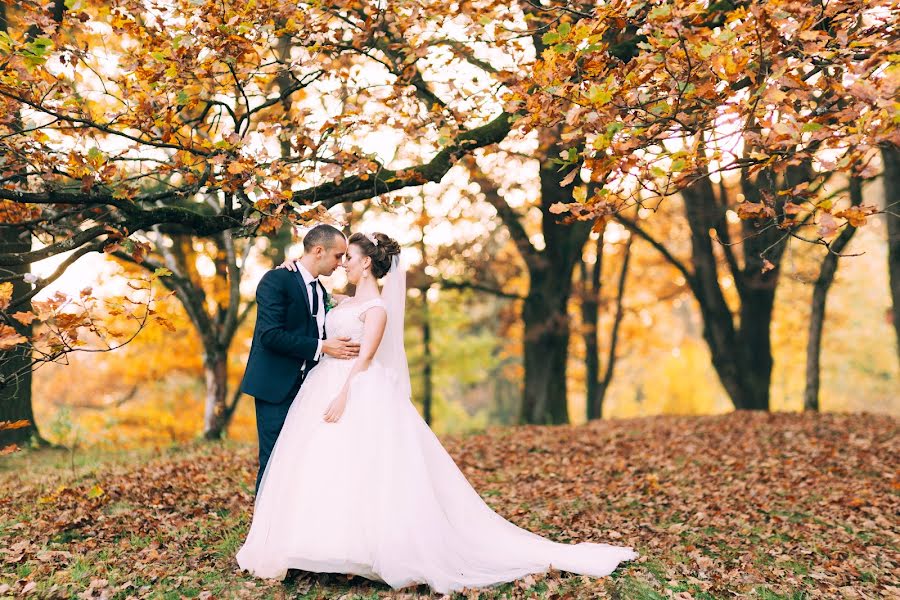 Wedding photographer Liliana Arseneva (arsenyevaliliana). Photo of 29 October 2017