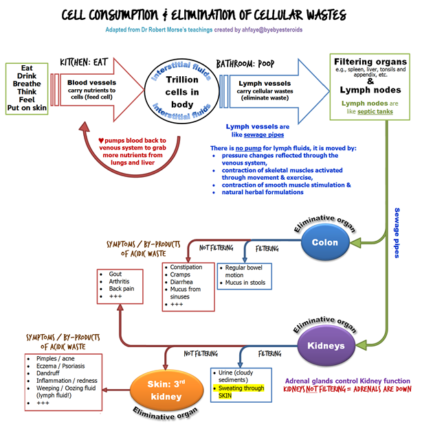 ConsumeEliminateChart