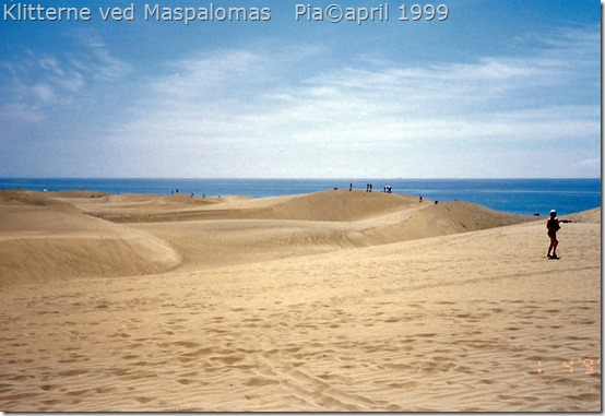 Klitterne Maspalomas