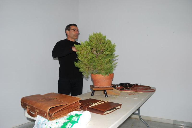 XI Exposición Invernal de bonsai de la A.S.B. Chokkan 145%252520XI%252520Exp.Inv.%252520ASBC%25252020111204%252520218