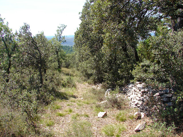 Senderismo - Portell de Morella - Rambla Sellumbres PR-CV 408