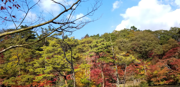 の投稿画像42枚目