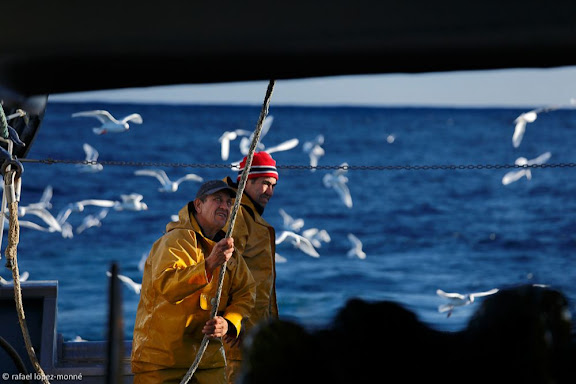 Pesca de la gamba de Tarragona.Tarragona, Tarragonès, Tarragona