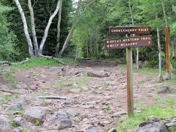 Road near Chokecherry Point