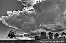 3 maggio 2014 Grana, Alfiano Natta, Grazzano Badoglio, Montachiaro,Montemagno d'Asti - fotografia di Vittorio Ubertone