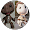 LITTLE BIG PLANET