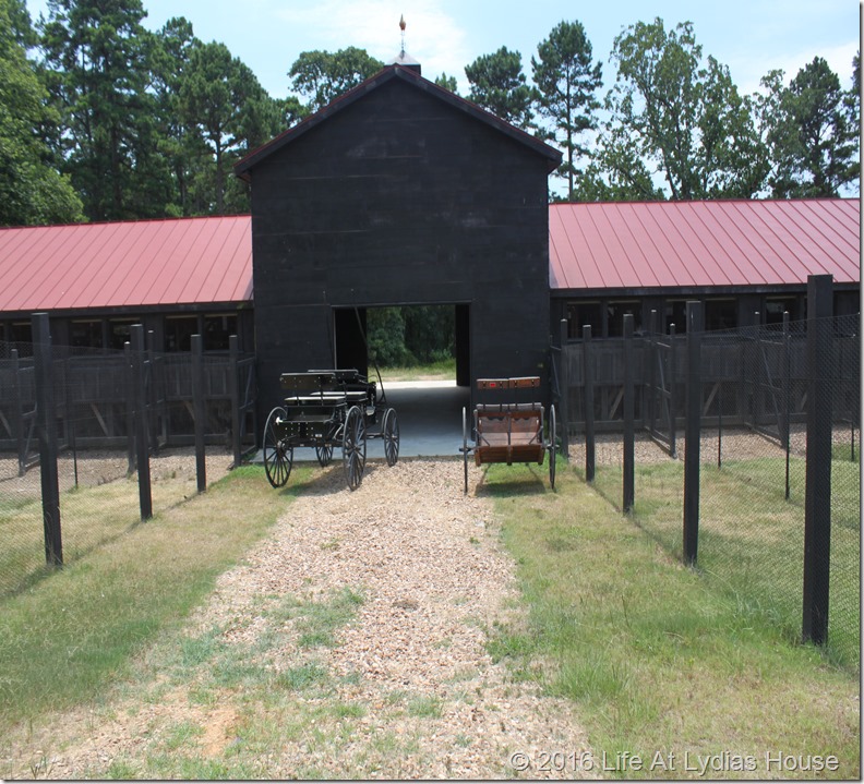 horse carriages at the chicken house