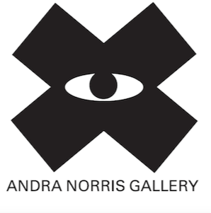 Andra Norris Art Gallery logo