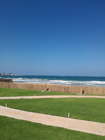 Photos of Mamoret Elshaeaa