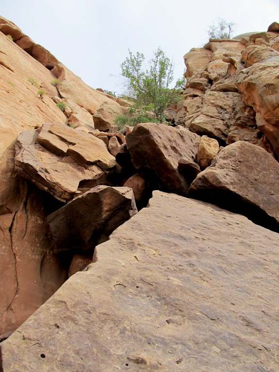 Lots of boulder climbing through the cliff band