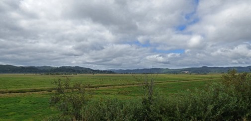 Highway 42 between Coos Bay and Tri-City