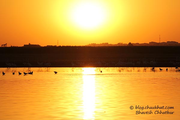 Sunset at Bhigwan's Yashwant Sagar lake created by Ujani Dam