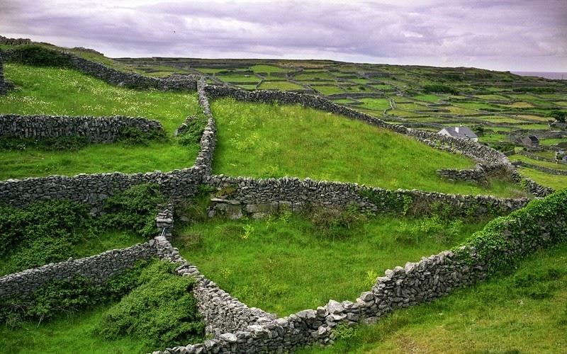 stone-walls-ireland-1