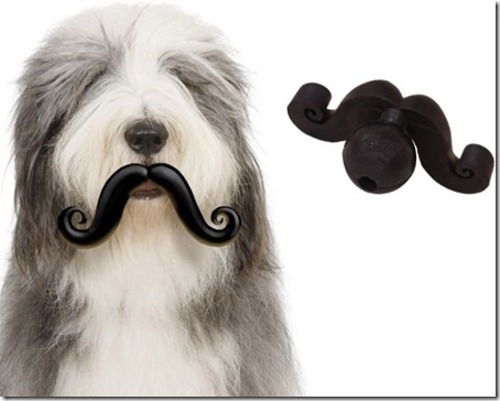 pet-stache8