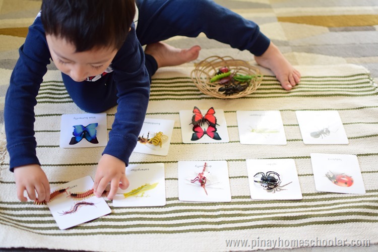 Montessori Inspired Insects Activity