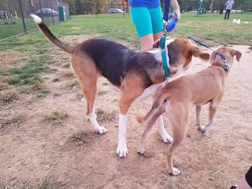 Park «Longford Park and Reynolds Dog Park», reviews and photos, 1000 Longford Rd, Phoenixville, PA 19460, USA