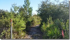 Trailview-3