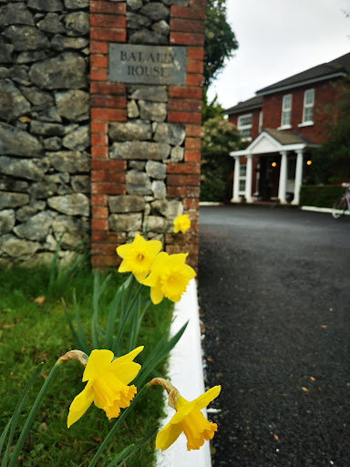 Balally House B&B accommodation Shannon