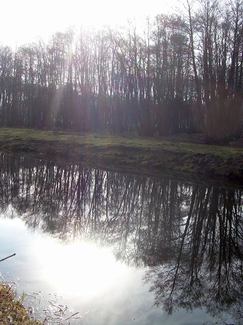 The Little Ouse at Brandon