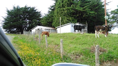 Photos of Ancud Petit Hotel