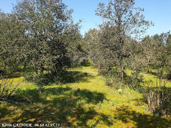 terrain à Cognac (16)