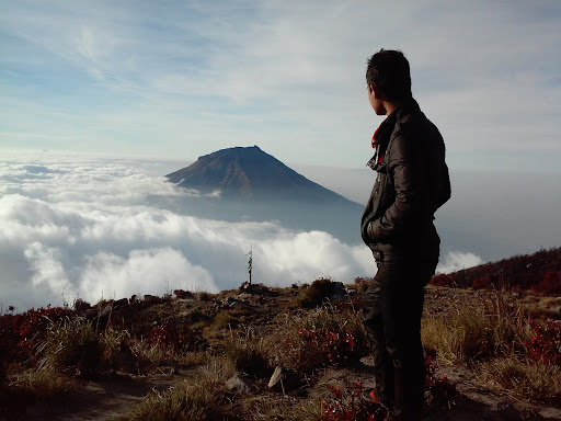 Image pertaining to WISNU PRIATAMA
