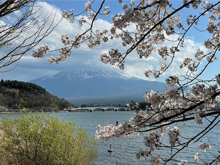 の投稿画像10枚目