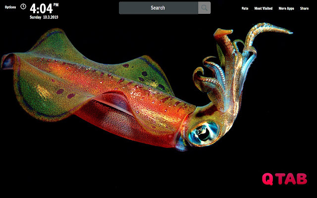 Squid New Tab Squid Wallpapers