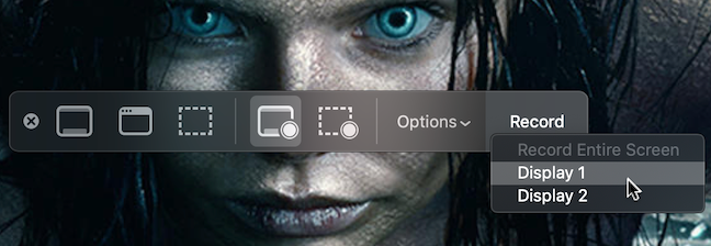 여러 화면의 경우 드롭다운 메뉴에서 녹화할 디스플레이를 선택합니다.