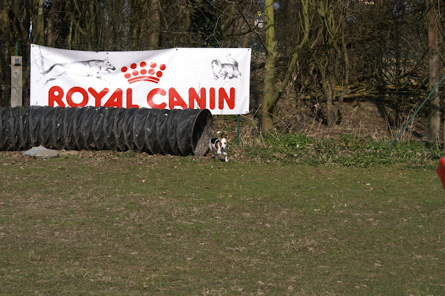 Lola Agi 2011 (11).JPG