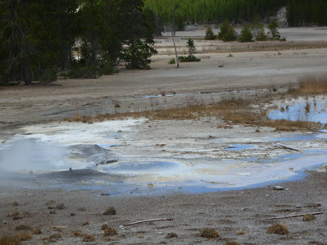 PN Yellowstone. Madison. Valle río Gibbon. Norris Geyser Basin. 12 Julio - LAS ROCOSAS DE CANADA. YELLOWSTONE Y GRAND TETON. (39)