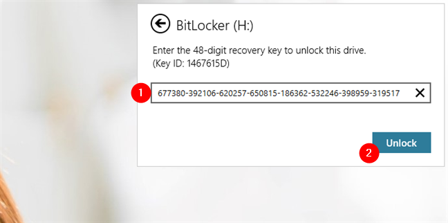 Utilizzo di una chiave di ripristino per sbloccare un'unità USB BitLocker