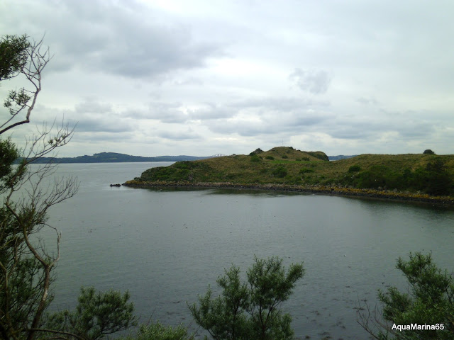 Наш первый раз... Лондон и Эдинбург