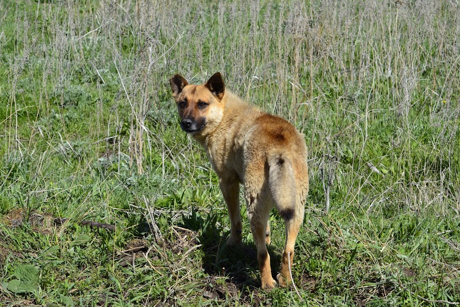 Армения: сокровища нации