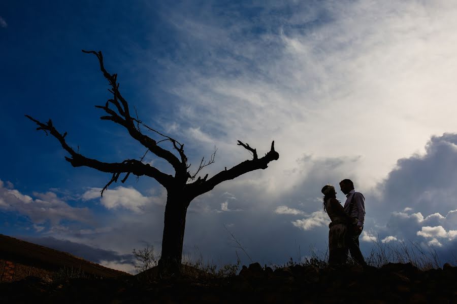 Fotógrafo de casamento Carlota Lagunas (carlotalagunas). Foto de 28 de junho 2016