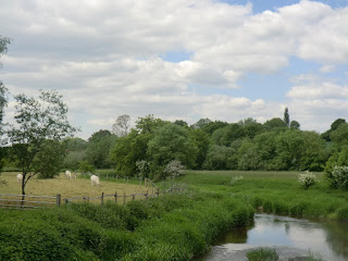 CIMG7119 River Eden near Penshurst