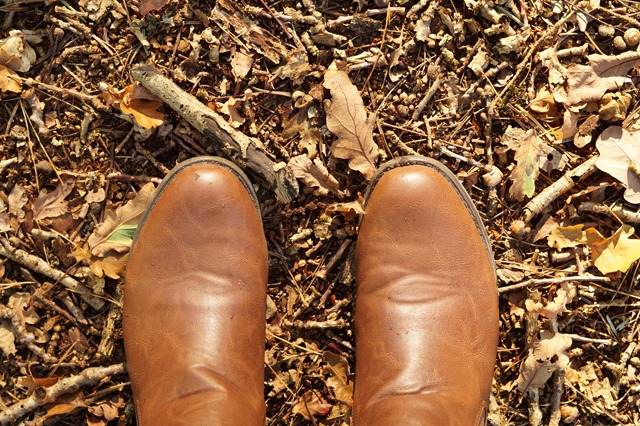 Autumn afternoon in Norfolk